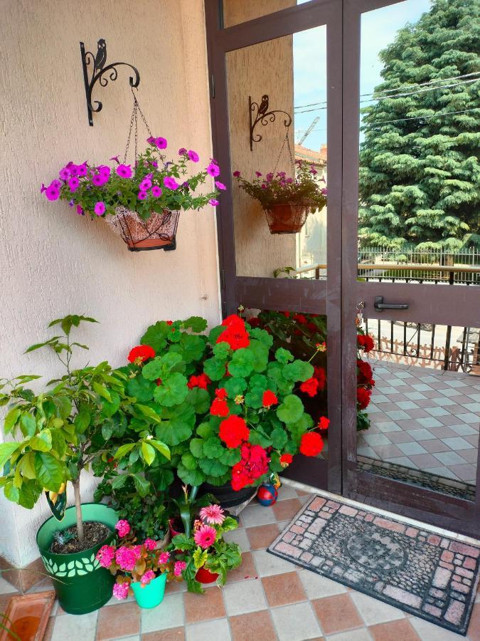 B&B Da Natallia Ronco allʼAdige Exterior foto